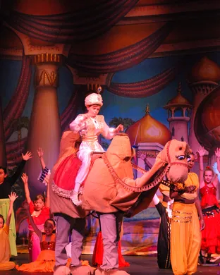 Aladdin Jr Hammond