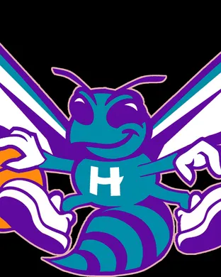 Charlotte Hornets Charlotte