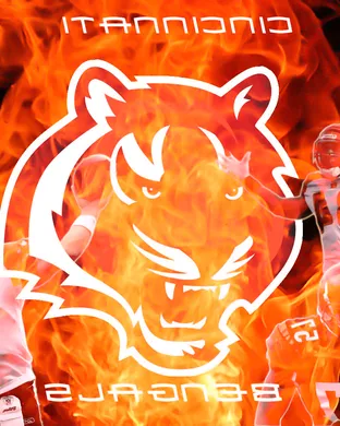 Cincinnati Bengals Cincinnati
