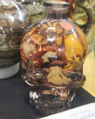 Oddities and Curiosities Expo New Orleans